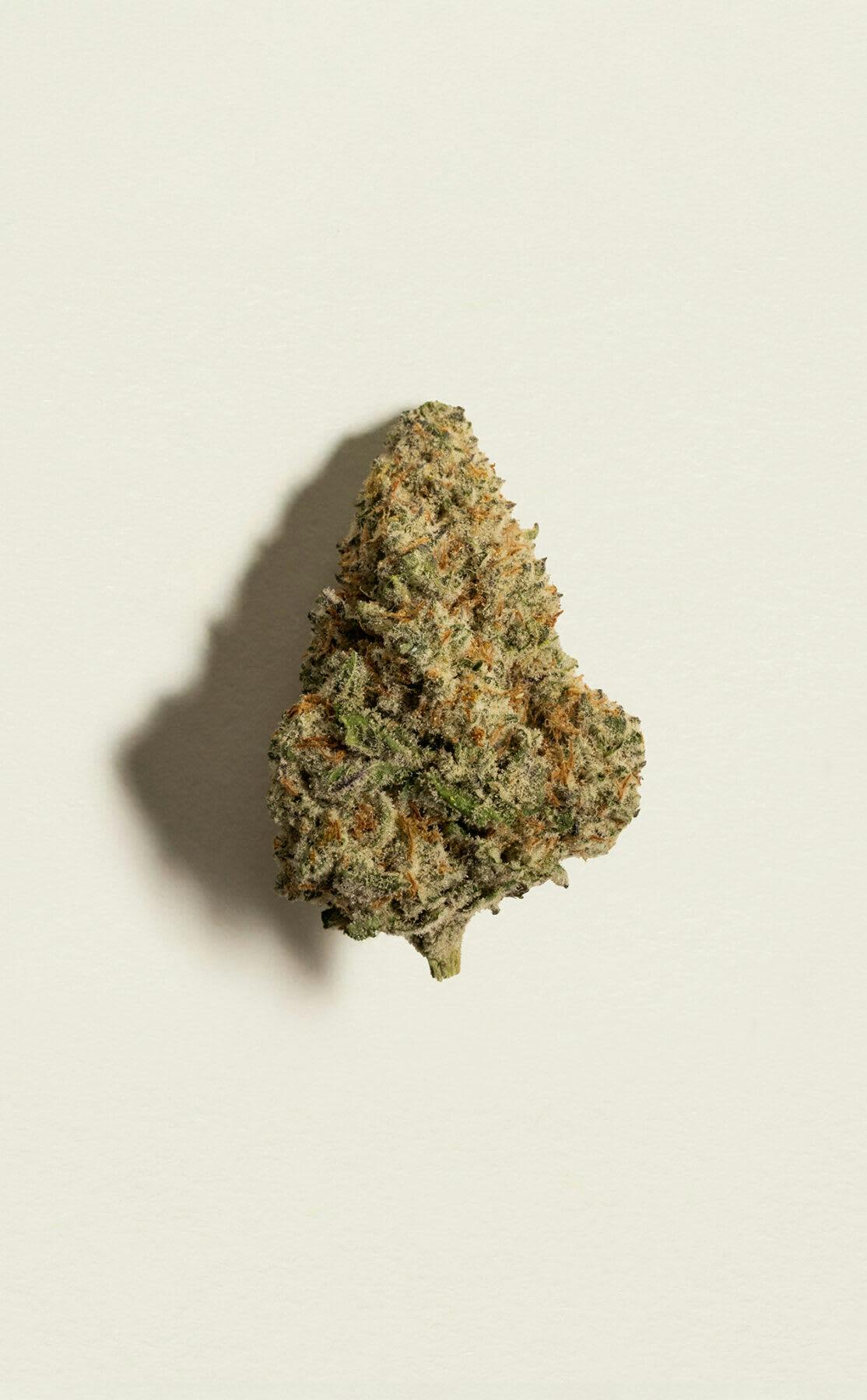 Queen Green 7g Dried Flower