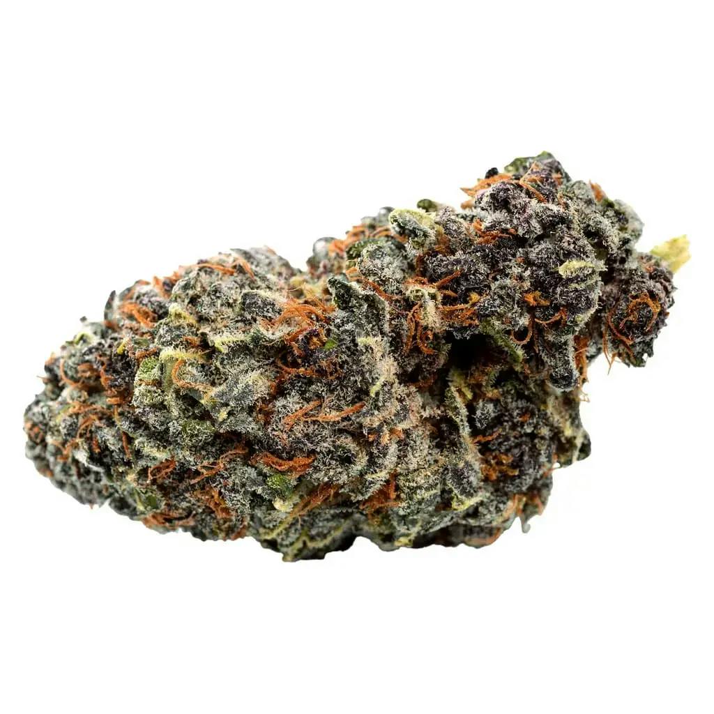 Georgia Pie Craft 7g Dried Flower