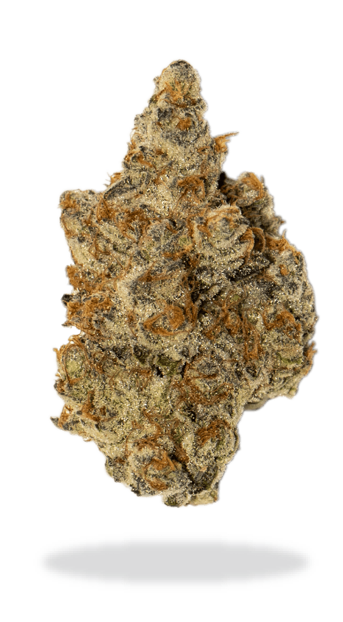 Purple Punch Mints #11 14g Dried Flower