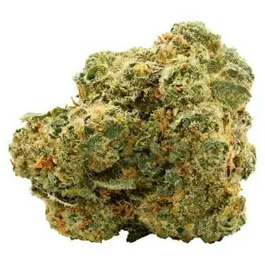 Autumn Mist 28g Dried Flower