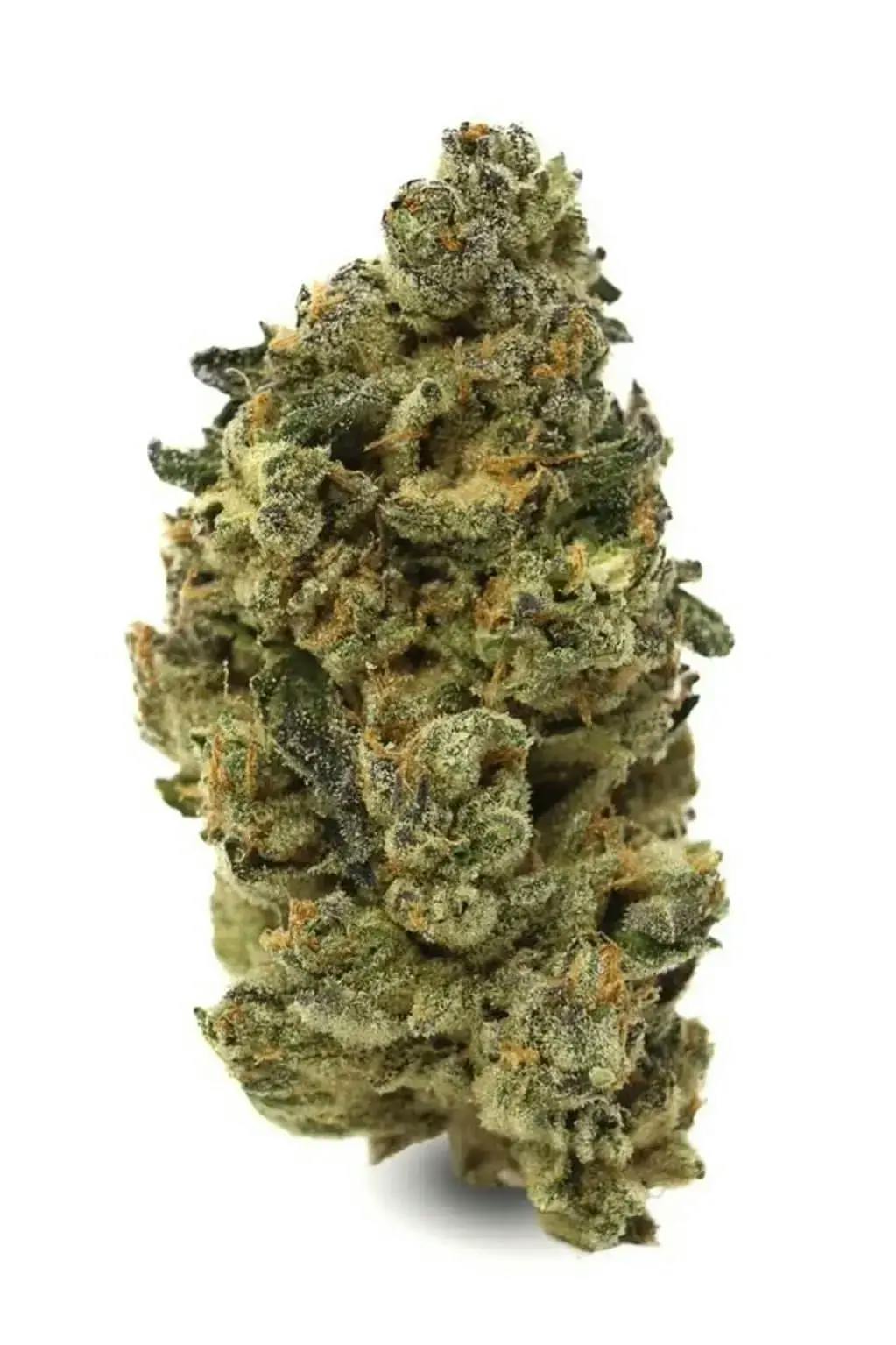 Black Mountain Side 7g Dried Flower