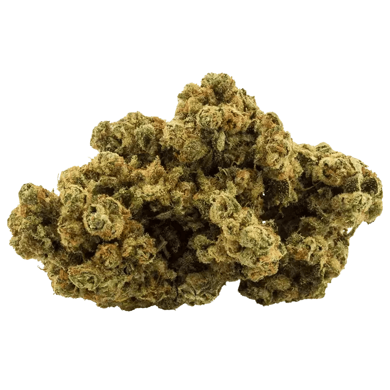Galactic Glue 14g Dried Flower