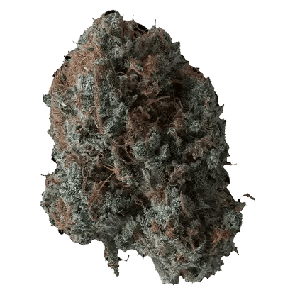 B!tch Slap 3.5g Dried Flower