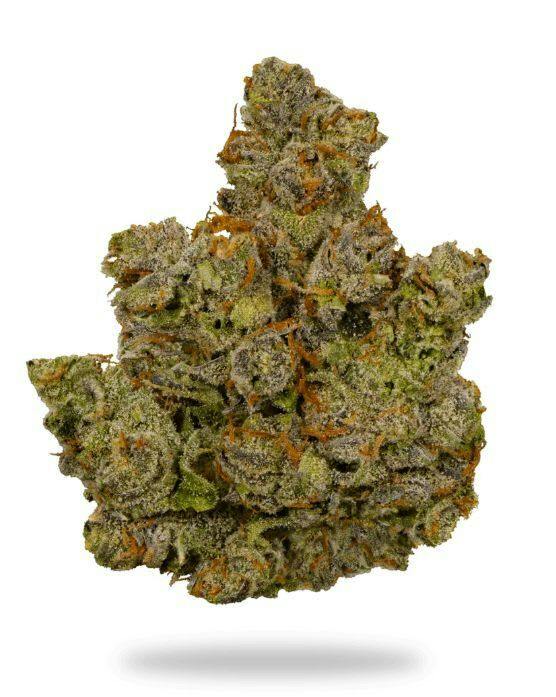Canal St. Runtz 28g Premium Dried Flower