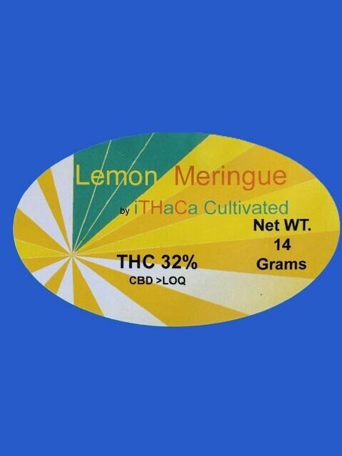 Ithaca Cultivated | Lemon Meringue | Flower