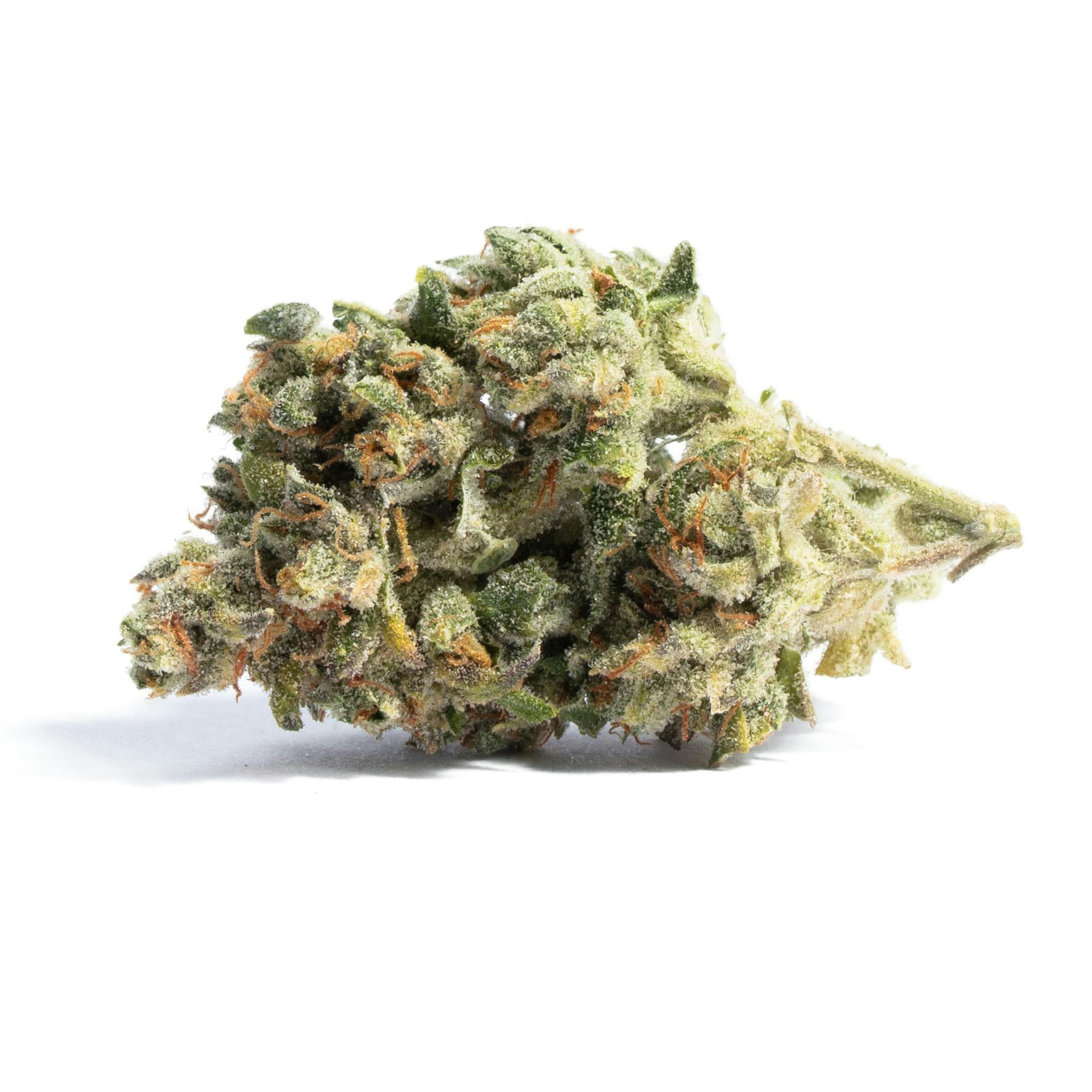 Acapulco Gold by Symponia
