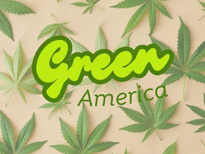 GREEN: America B S - Aye Papi