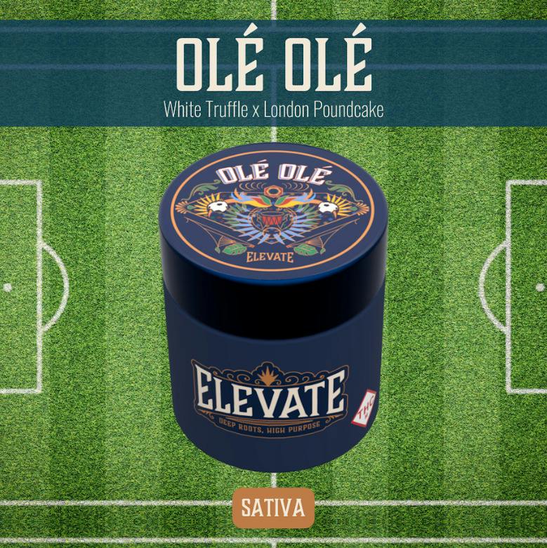 Elevate: Flower | Ole Ole