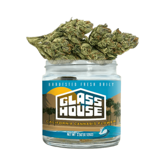 gelato #41 x kush mints 3.5g