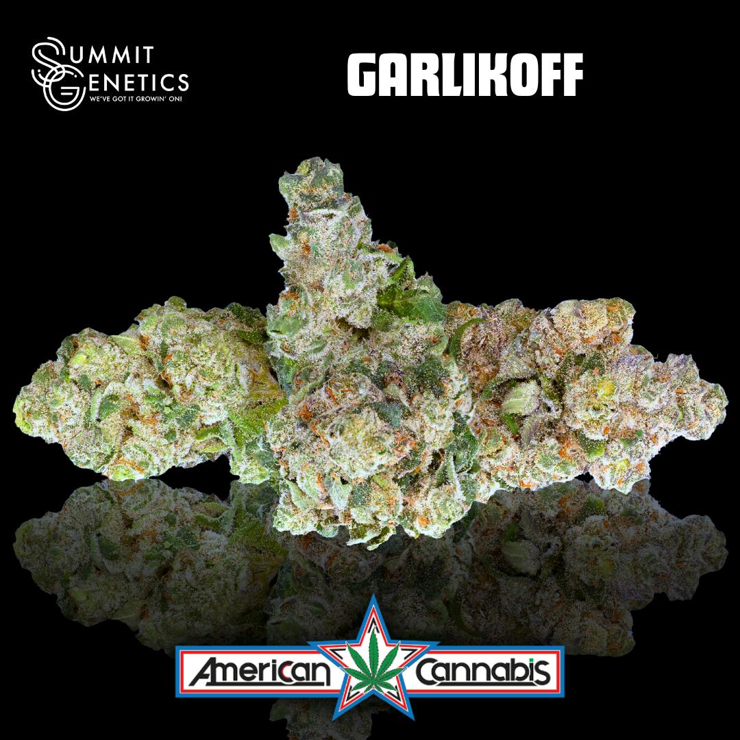 [Flower] Summit Genetics Garlikoff 14g [Indica]
