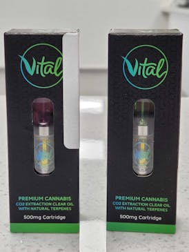 Naturz Candy 500mg Cart (Vital)