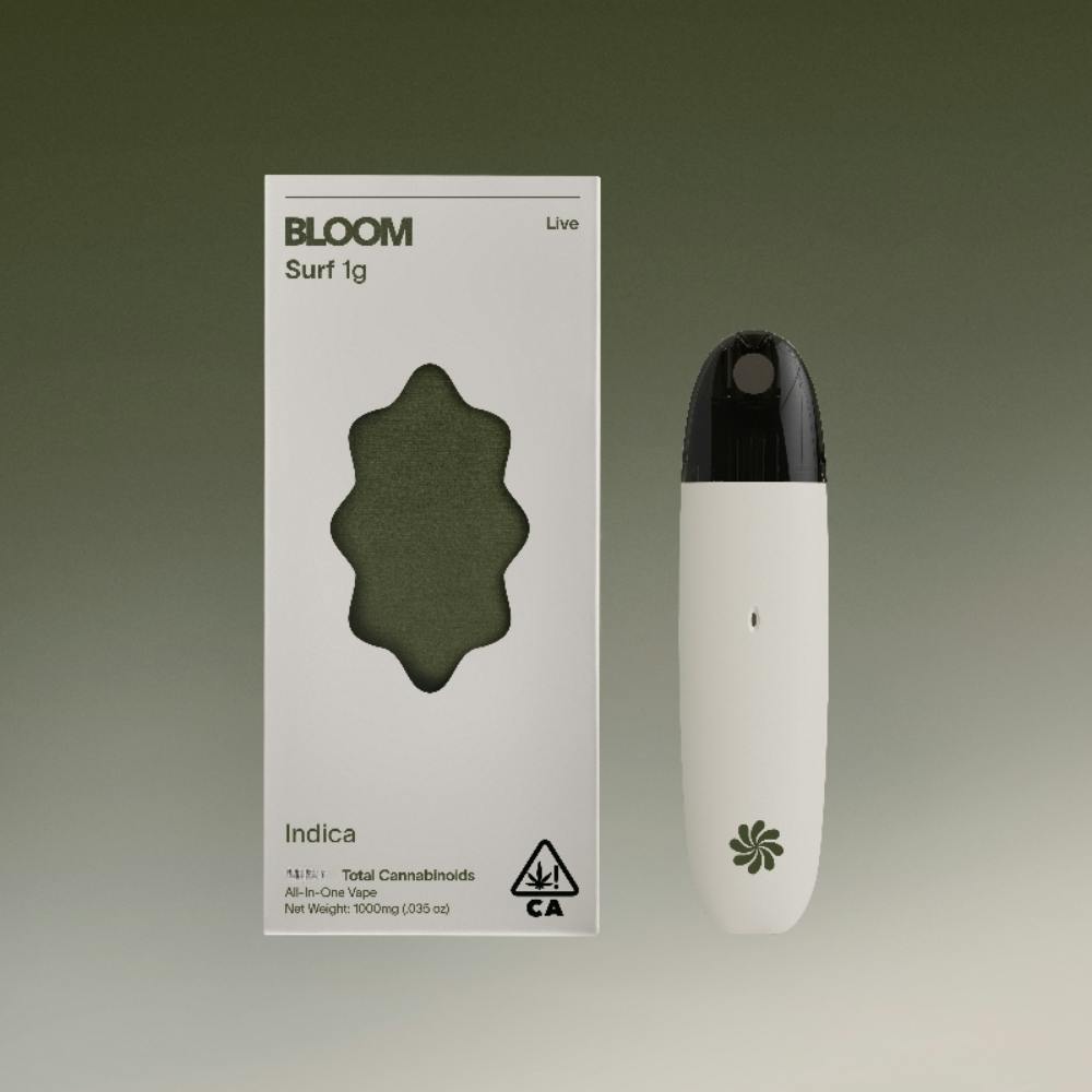 BLOOM: Slurricane Lr