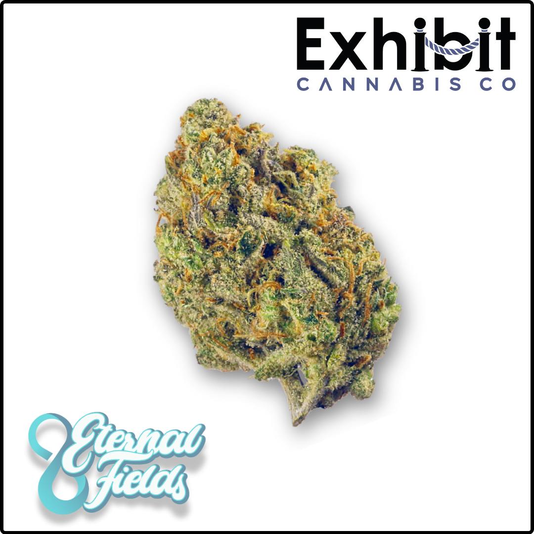 Blue Gelato-By Eternal Fields-Deli Flower