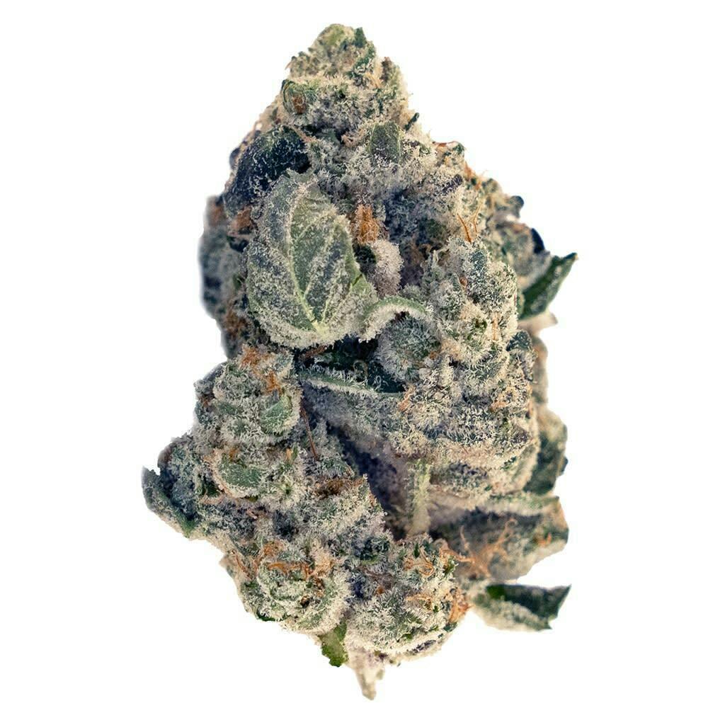 GSC Kush - GSC Kush 3.5g Dried Flower