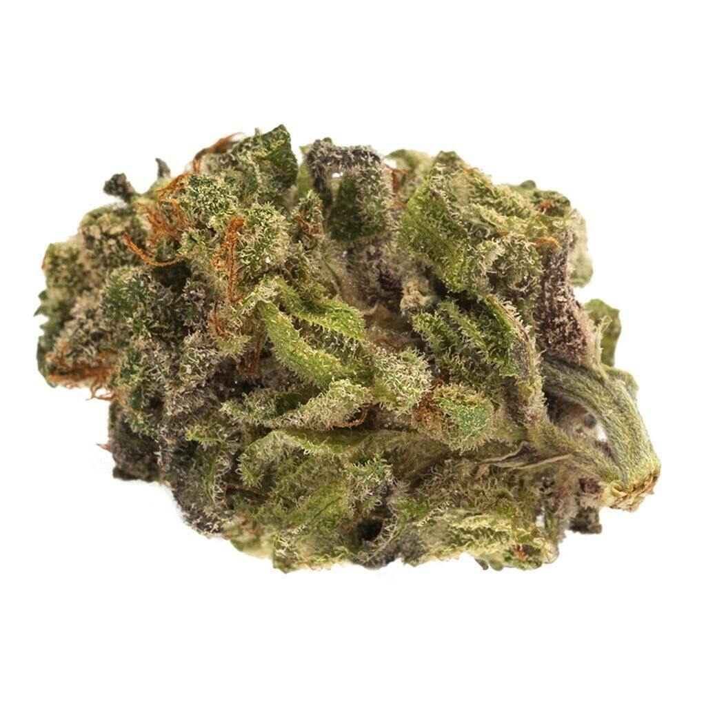 Sativa Bud - Sativa Bud 28g Dried Flower