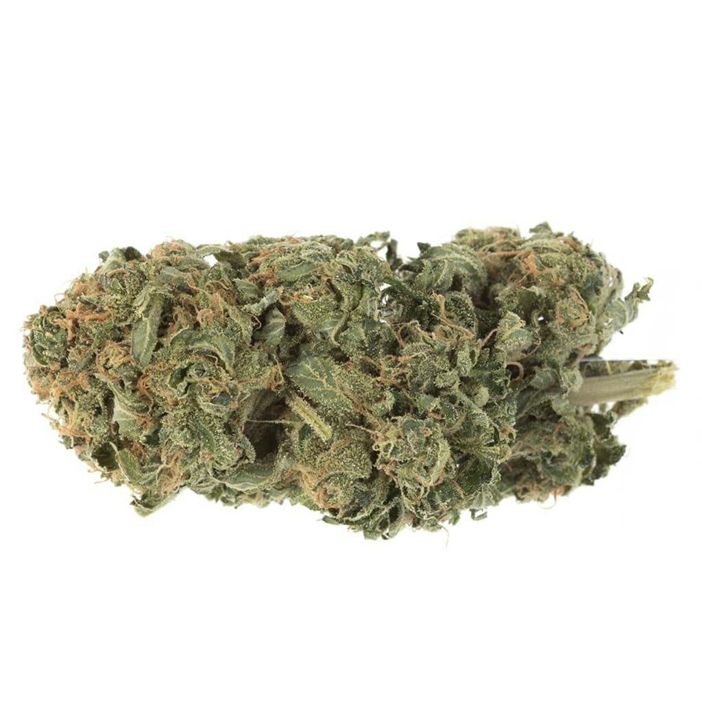 Ghost Train Haze 14g Dried Flower