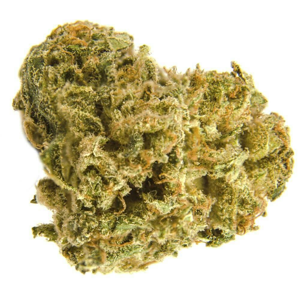 Black Widow CBD - Black Widow CBD 3.5g Dried Flower