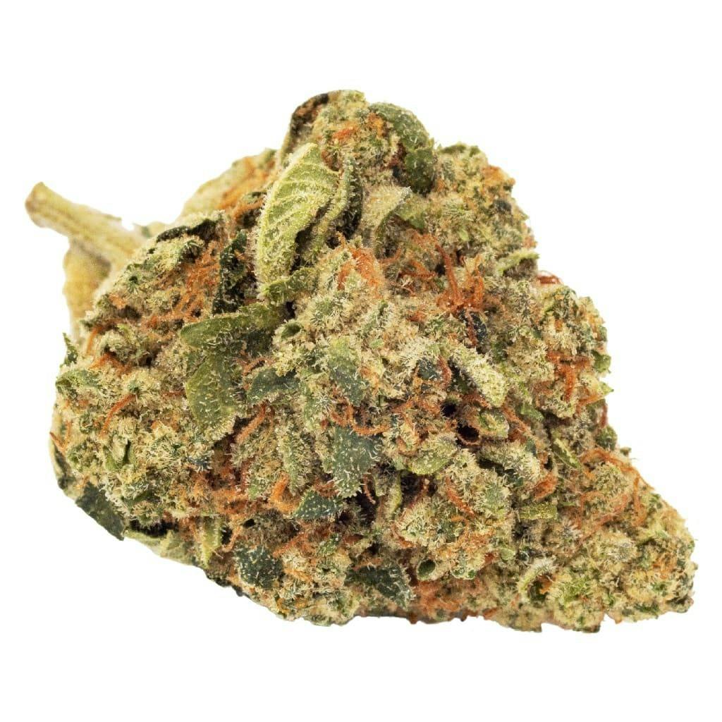 Go Steady Sunshine Bubble Kush 3.5g Dried Flower
