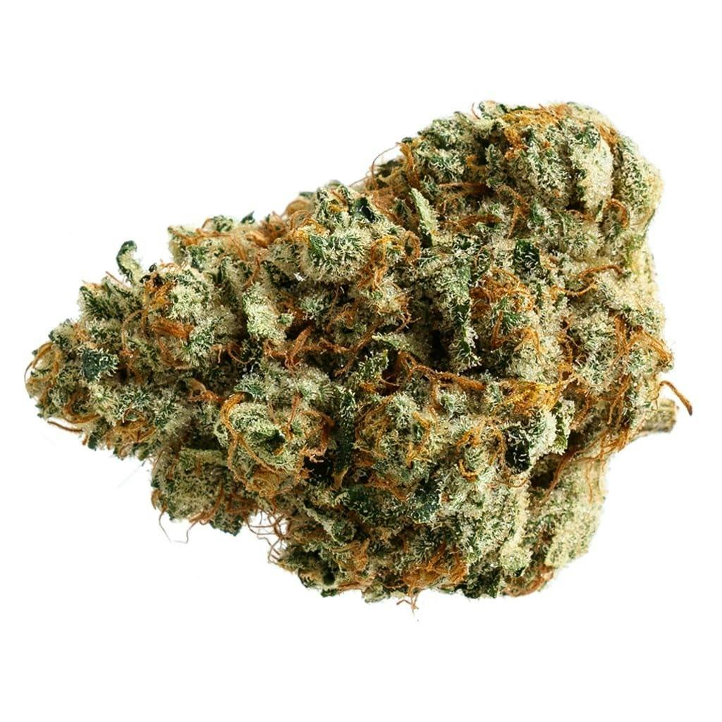 Ginger Dawg 3.5g Dried Flower