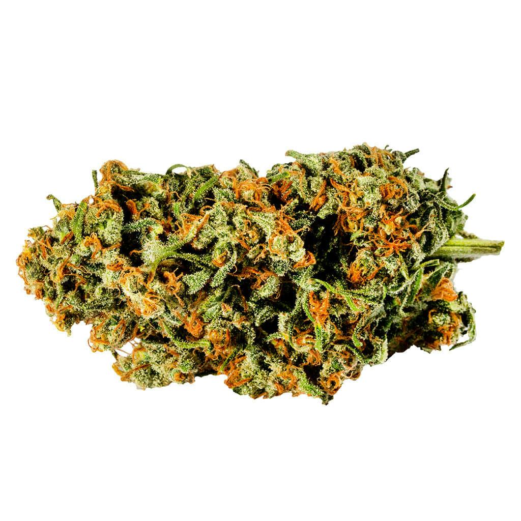 Warlock 1g Dried Flower