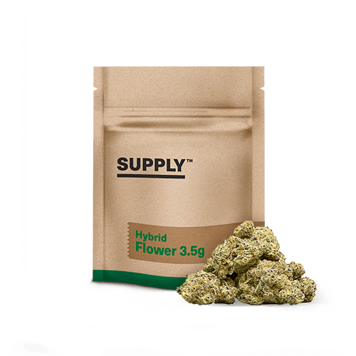Supply Burnt Orange Whole Flower 3.5g