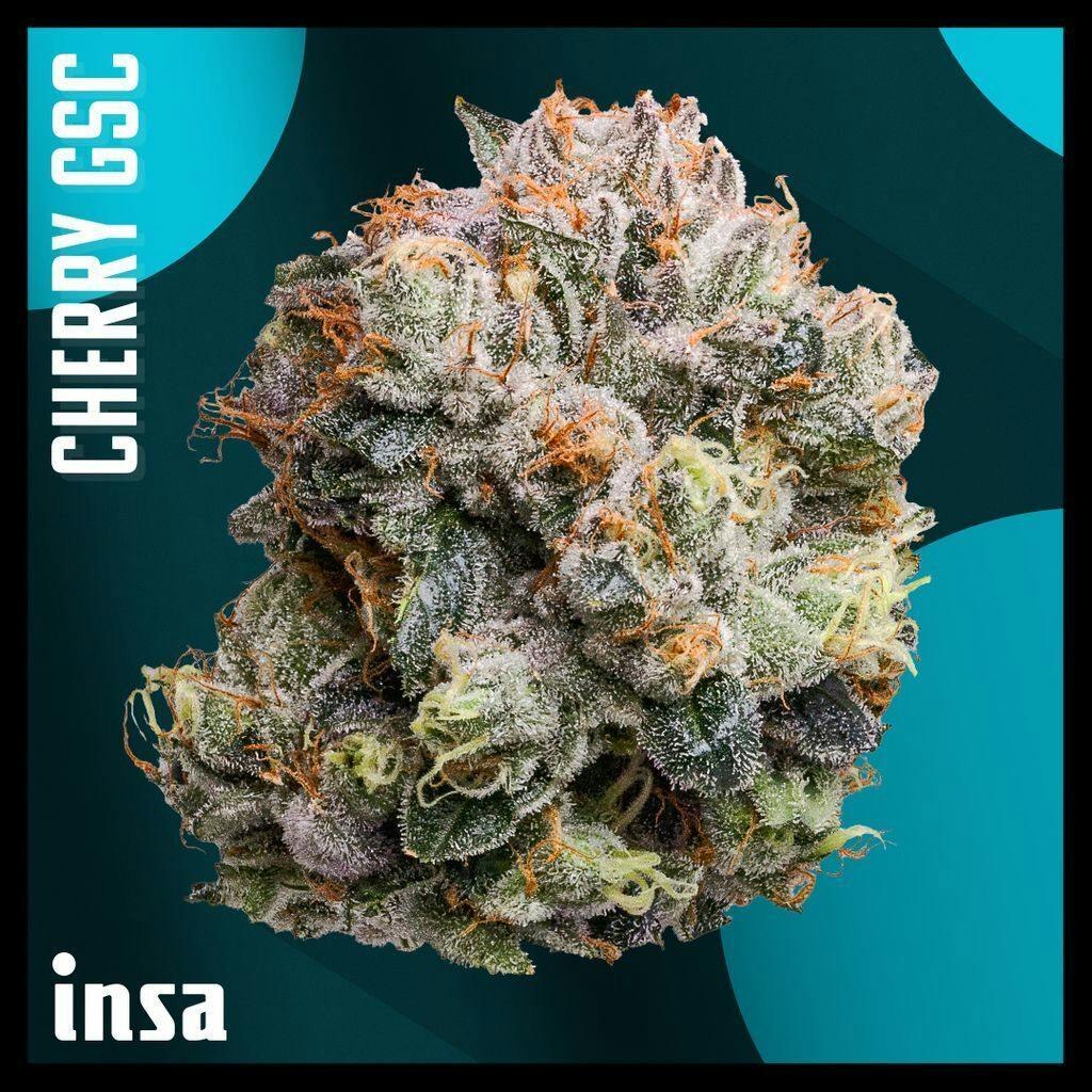 INSA Cherry GSC Whole Flower 28g
