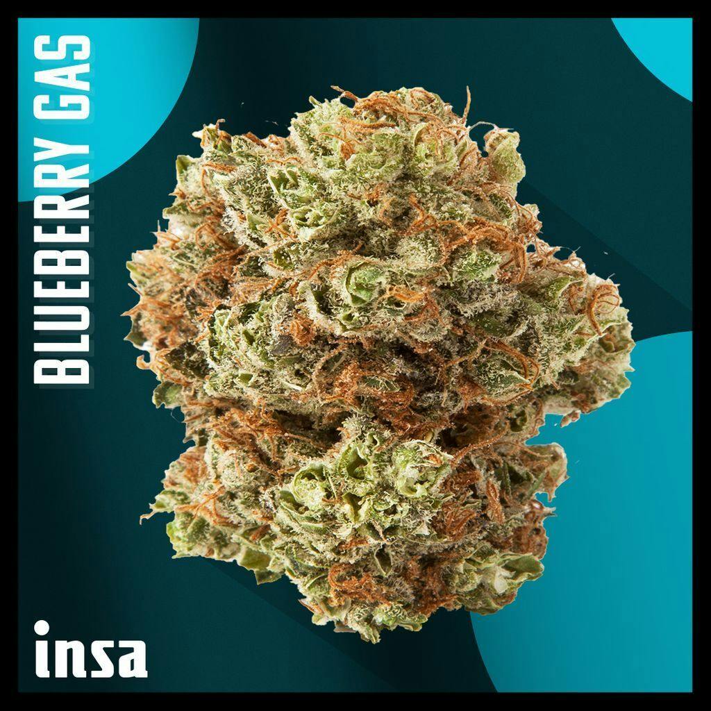 INSA Blueberry Gas Whole Flower 28g