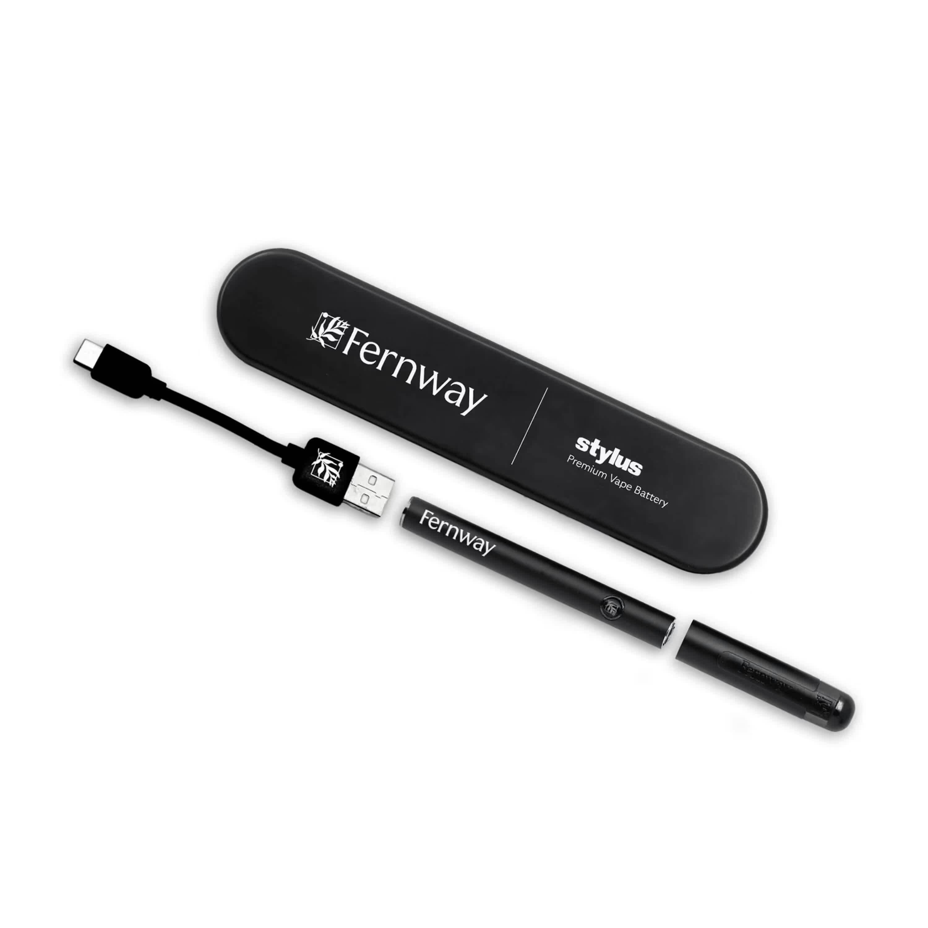 USB-C Stylus | Batteries by Fernway