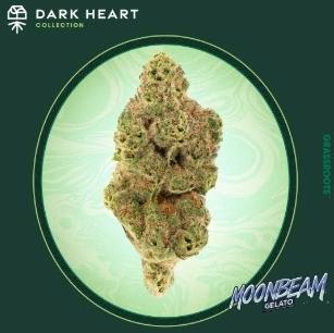 Moonbeam Gelato Whole Flower - Dark Heart Collection by Grassroots