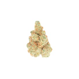 Billo-DFO (I)