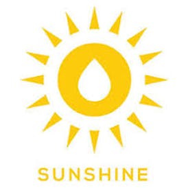 Sunshine Extracts-Blue Nerds (H)