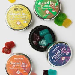 Dialed In-Rosin Gummies-Cherry Sakura (H)