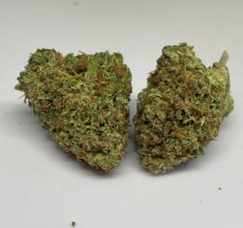 Rainbow Sherbet #11| Deli flower| BlackJack Cannabis