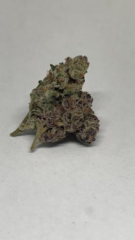 Orange Sugar| Deli Flower | Green Fuego