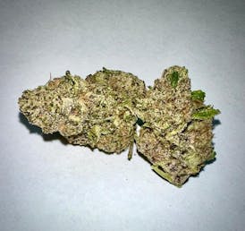 ORANGE HEADBAND | SATIVA | GREEN FUEGO | FLOWER
