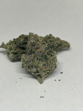 Blueberry Yums | Deli Flower | Green Fuego
