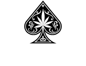 Gushmints | Deli Flower | Blackjack cannabis