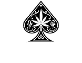 Rainbow Sherbet #11| Deli flower| BlackJack Cannabis