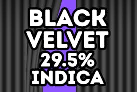 BLACK VELVET | INDICA | GREEN FUEGO | FLOWER