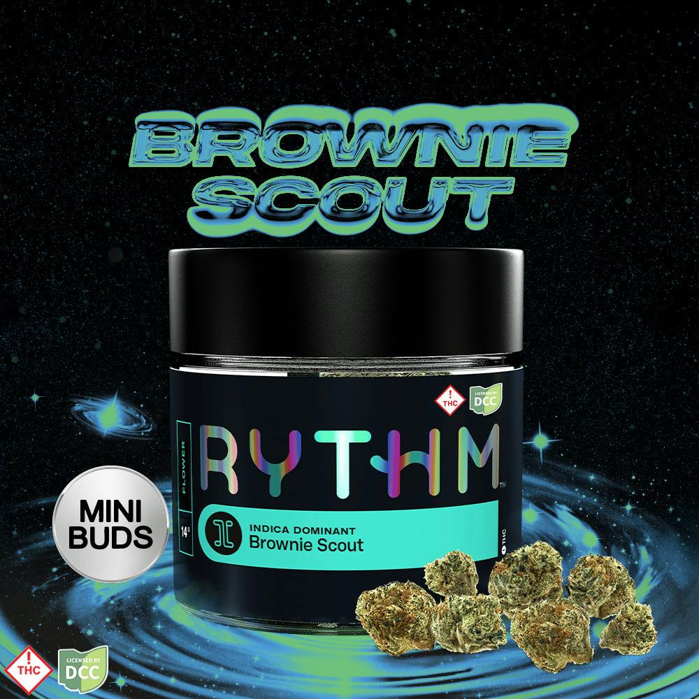 Brownie Scout