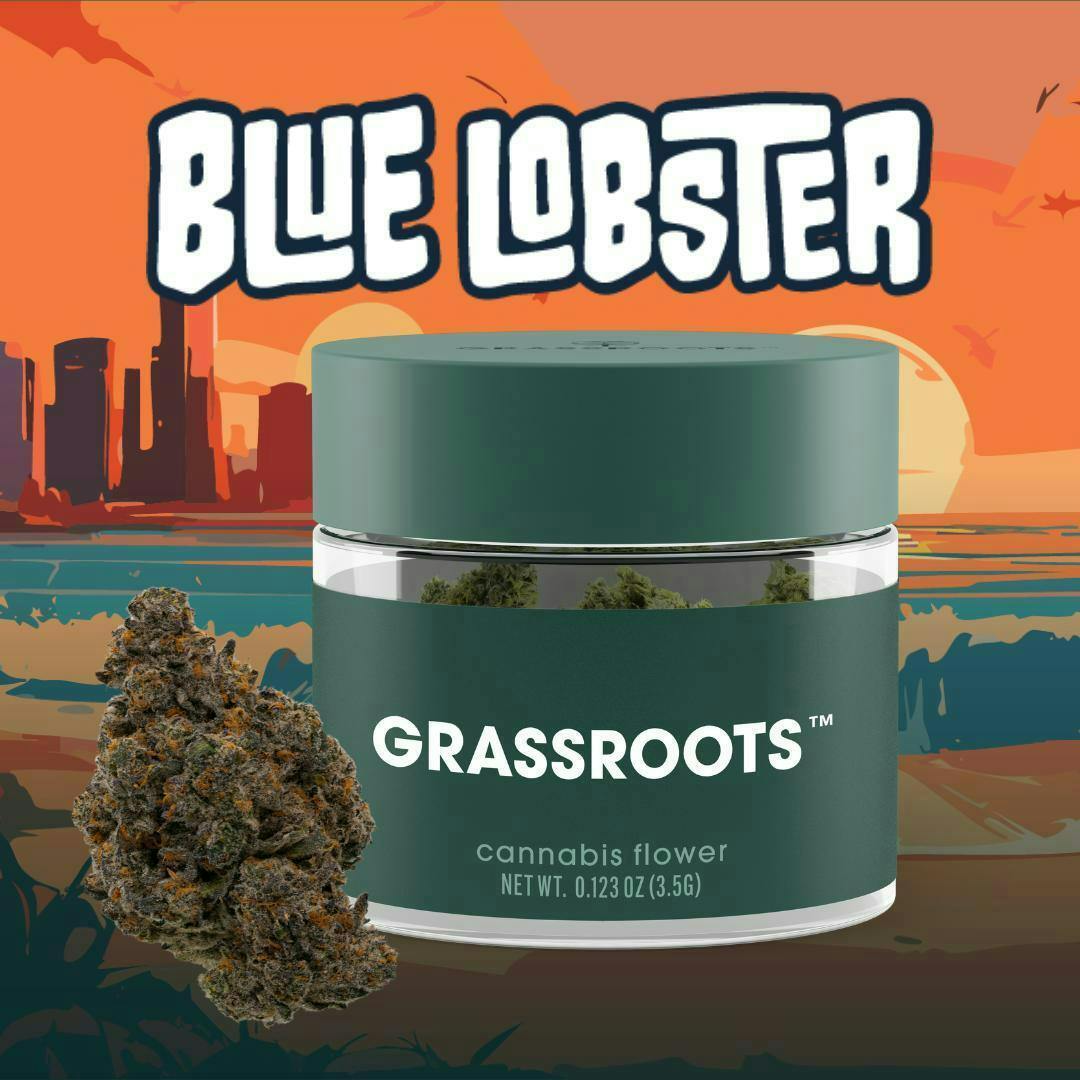 Blue Lobster