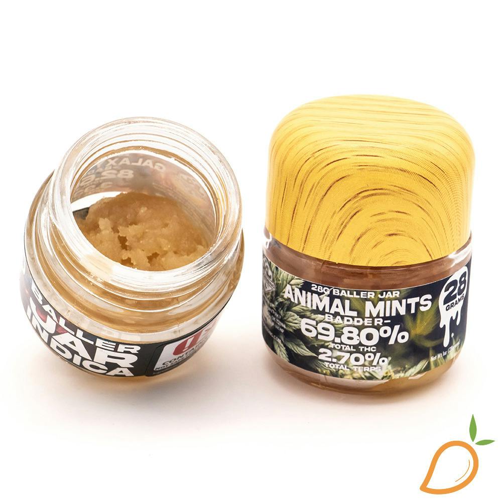 28g Porch Pirate Cured Resin Baller Jar JKJ