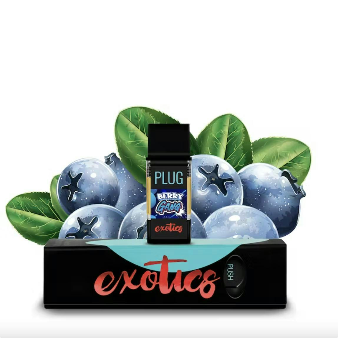 BERRY GANG — 1 Item