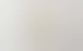 Transdermal Patch - 1:1 Bio Jesus