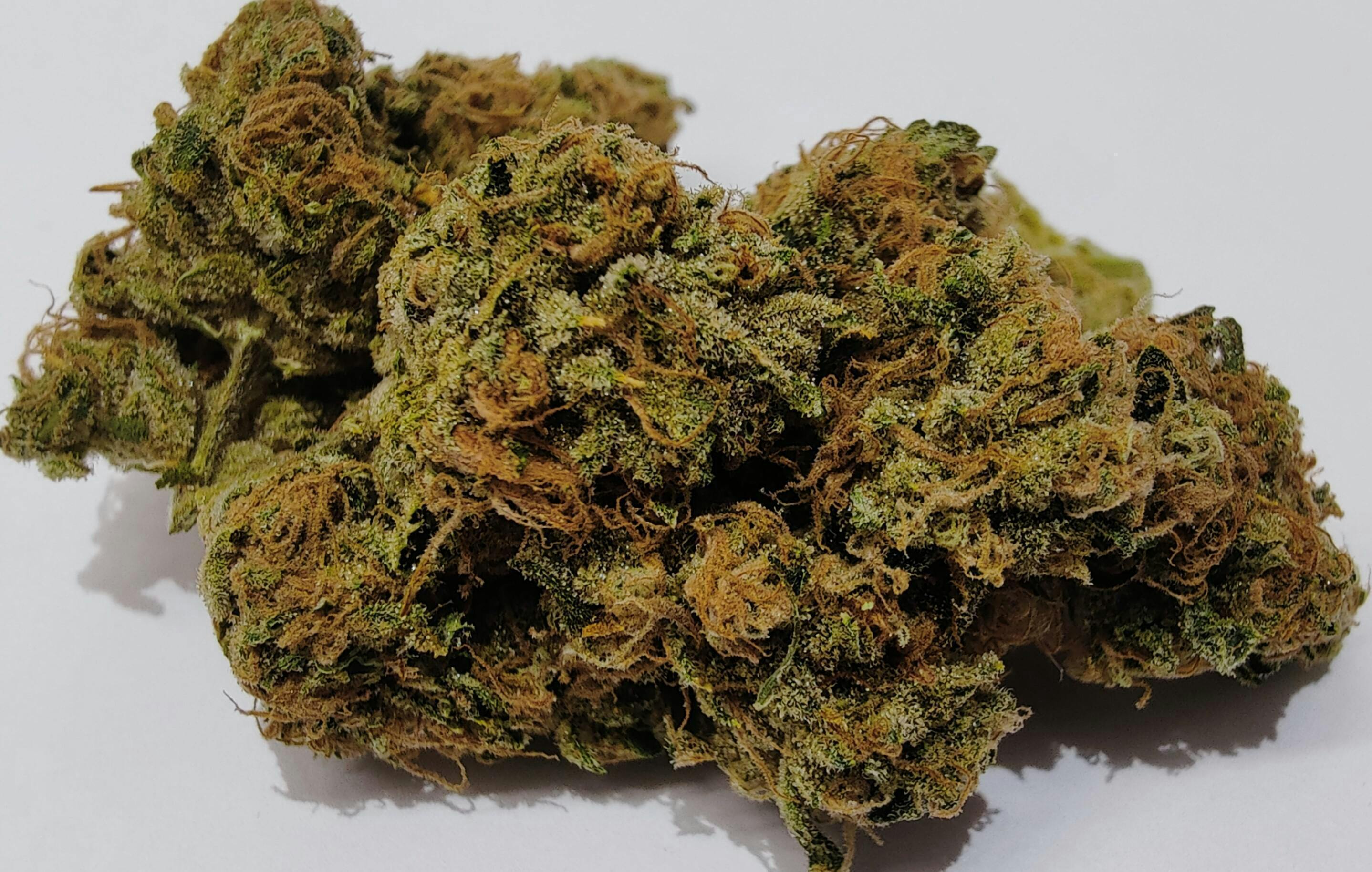 2g Flower Jar - Purple Phantom Cookies cannabis product