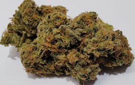 2g Flower Jar - Mandarin Sorbet