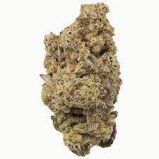 Blue Runtz | FLWR POT | Bulk Flower