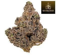 Powdered Donut | Giving Tree Gardens | Bulk Flower