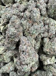 Garlic Drip | Freedom Green Farms | Bulk Flower