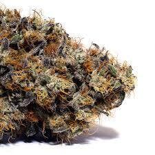 Ego Checker | Freedom Green Farms | Bulk Flower